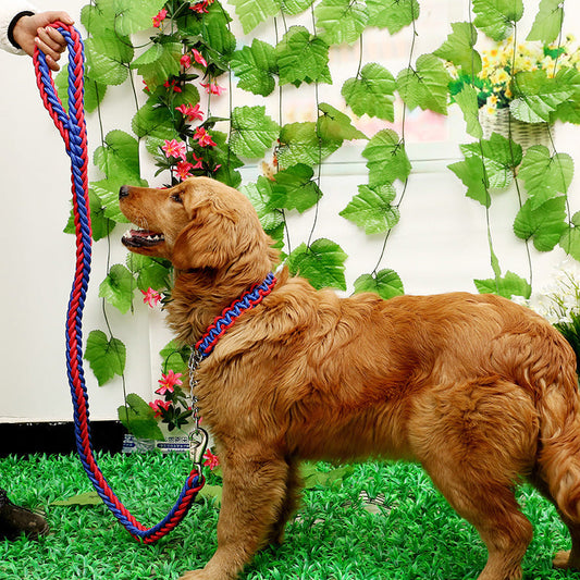 HKM-9983549 Durable Two-Color Dog Leash with P-Chain for Medium to Large Breeds, Soft Nylon and Cotton Core