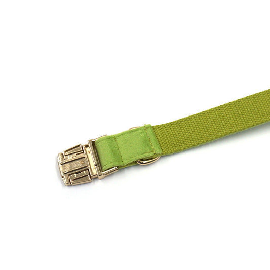 HKM-191507 Wind Cross-border Matcha Green Velvet Dog Collar with Gold Buckle - Adjustable Size XS to XL