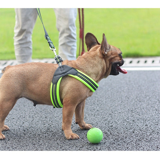 HKM-024531 Reflective Dog Leash - Durable Mesh and Nylon, Available in Multiple Sizes and Colors