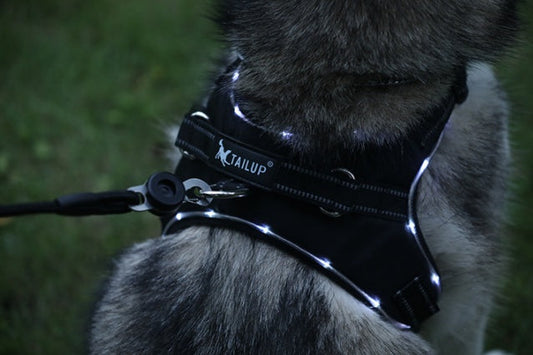 HKM-469779 LED Dog Harness with Oxford Cloth for Night Travel, Adjustable Chest Strap for Medium and Large Dogs