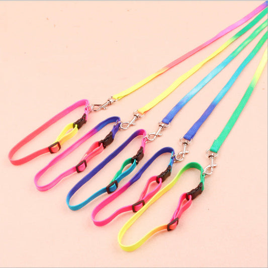 HKM-485587 Rainbow Nylon Cat and Dog Leash with Adjustable Collar for Small Pets - 120cm Length, 20-30cm Neck Size