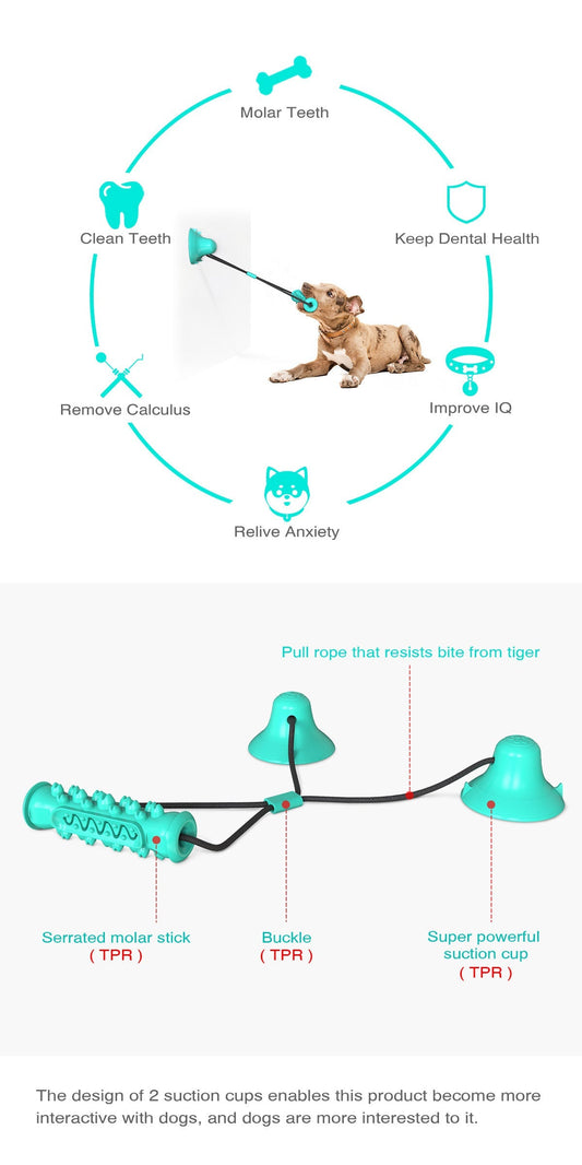 HKM-238419 Double Suction Cup Dog Toy for Molar Chewing - Lake Blue & Green Plastic