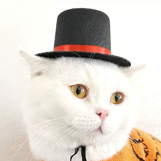HKM-5436989 Gentleman Cat Scarf & Top Hat Set for Small Pets - Size S & M Available