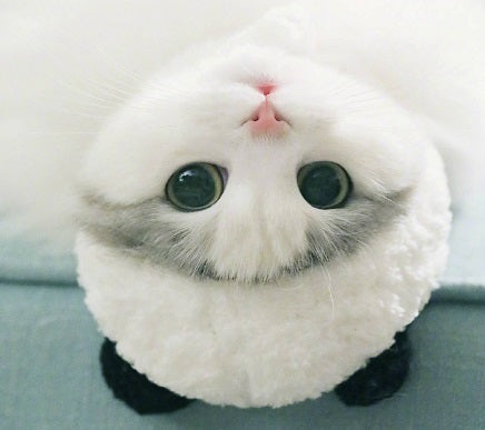 HKM-002771 Adorable White Wool Panda Hat for Pets - Sizes S, M, L