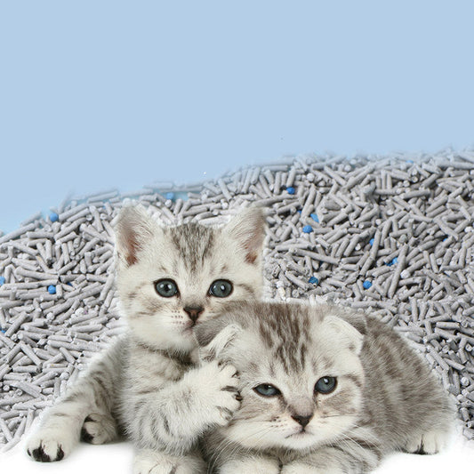 HKM-092179 Tofu Cat Litter with Activated Charcoal for Odor Control - 6L Bag