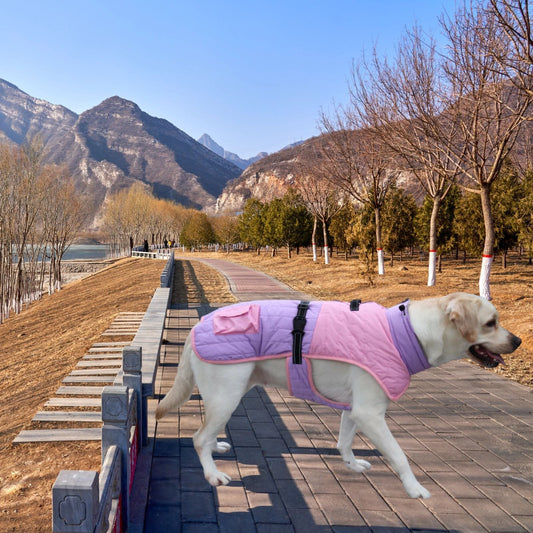 HKM-148243 Thick Warm Dog Coat for Autumn and Winter in Multiple Colors and Sizes