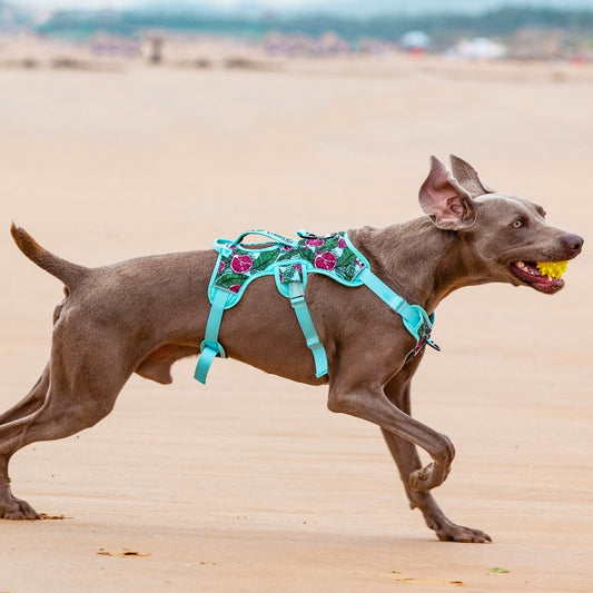 HKM-230675 Liftable Reflective Pet Harness with Adjustable Straps - Pomegranate & Sunflower Colors