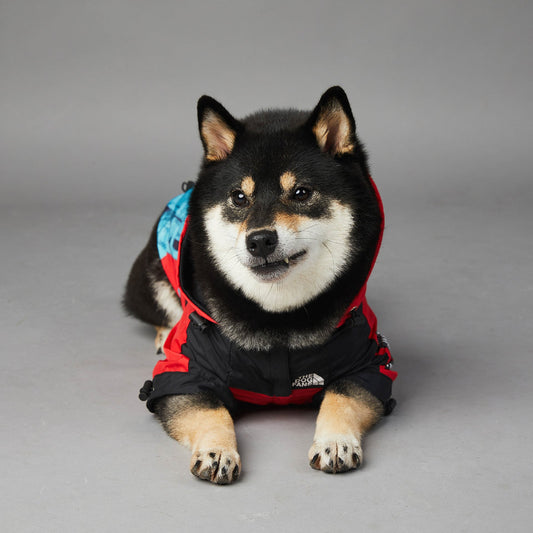 HKM-256979 Windproof and Rainproof Pet Shell Jacket in Multiple Colors and Sizes