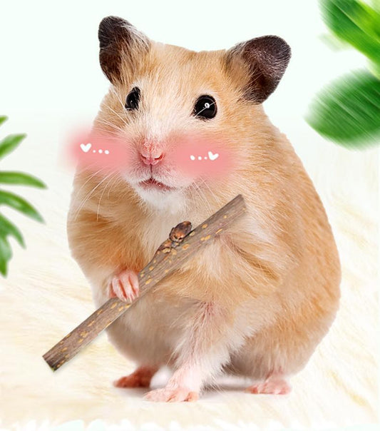 HKM-264851 Drying Bunny My Neighbor Totoro Hamster Snacks Branch Chewing Toy