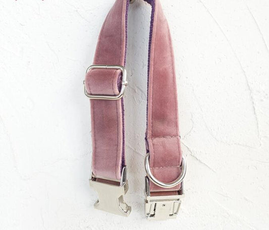 HKM-272147 Durable Adjustable Polyester Dog Collar for Comfortable Daily Use