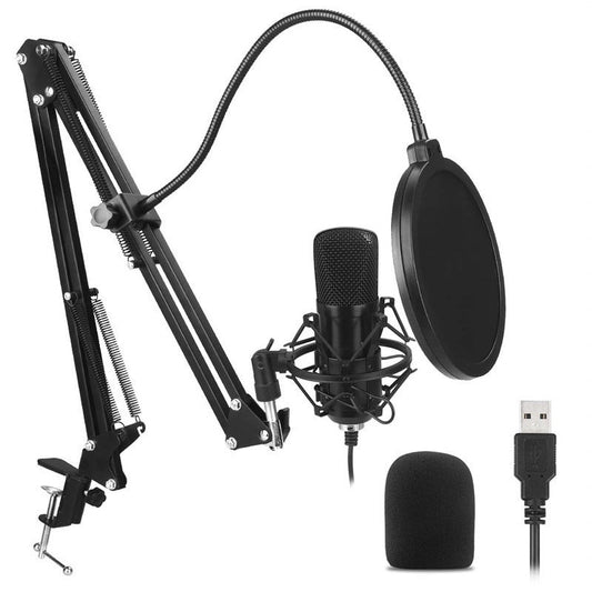 HKM-276307 Plug and Play USB Condenser Microphone for Home Recording and Broadcasting
