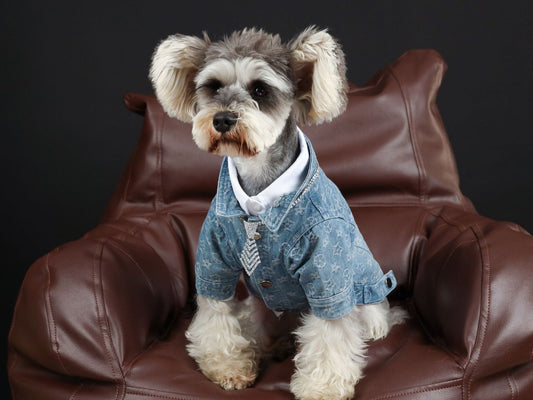 HKM-336147 Casual Blue Cotton Denim Shirt for Dogs - Spring/Summer Style