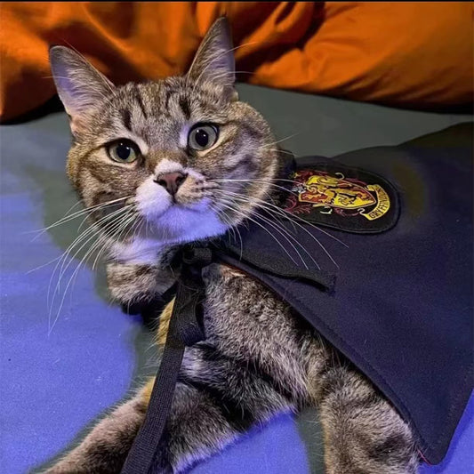 HKM-454739 Magic Wizard Cloak and Hat Set for Pets - Multiple Colors Available, Perfect for Dress-Up and Cosplay
