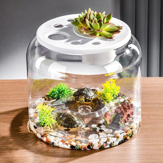 HKM-464979 Large Transparent Plastic Turtle Tank with Lid or Without Lid for Eco-Friendly Desktop Landscaping