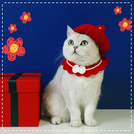 HKM-479635 Wool Felt Flower Hat for Pets - Red, Yellow, Pink, White Options