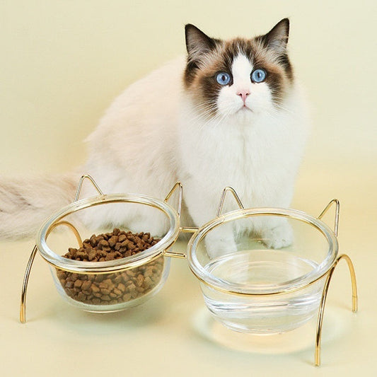 HKM-502035 Elevated Glass Cat Bowl with Metal Rack for Comfortable Feeding and Hydration