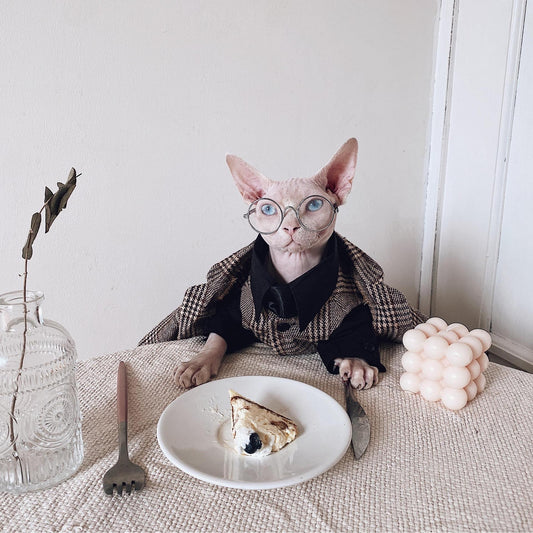 HKM-510099 Sphinx Cat Outfit Set: Camel Plaid Jacket, Vest, & Shirts for Pets