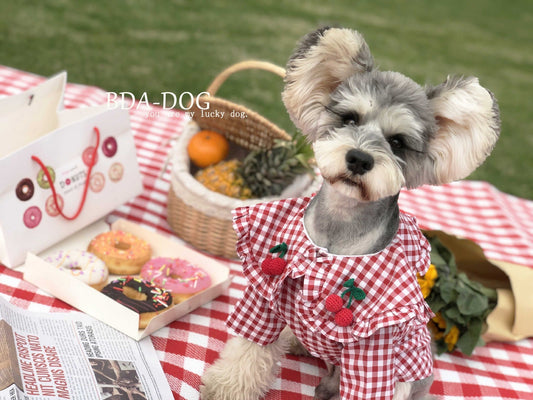 HKM-522579 Lightweight Cotton Checkered Shirt for Small Dogs – Summer Casual Wear