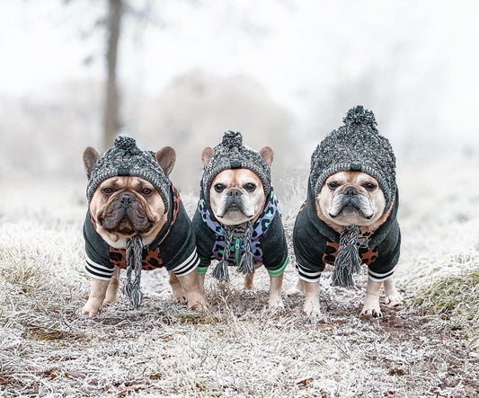HKM-632595 Two-Tone Windproof Fluffy Knitted Dog Hat with Pompom and Tassels