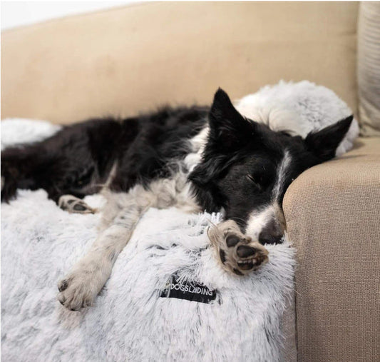 HKM-675347 Cozy Pet Blanket and Rest Cushion for Dogs - Soft Gradient Plush Fabric, Non-Slip Bottom, Multiple Sizes Available