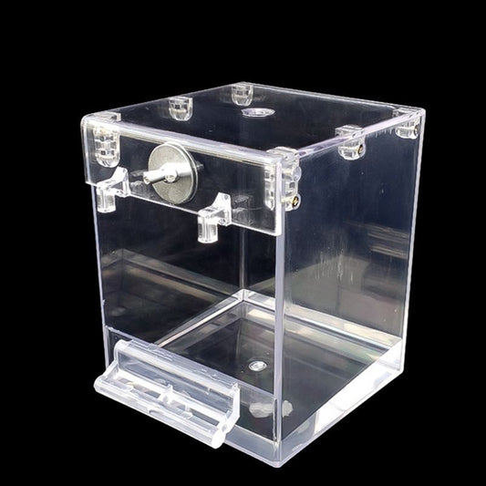 HKM-675667 Acrylic Bird Bath Square Basin for Small Birds - Perfect for Cockatiels, Budgerigars, and Canaries