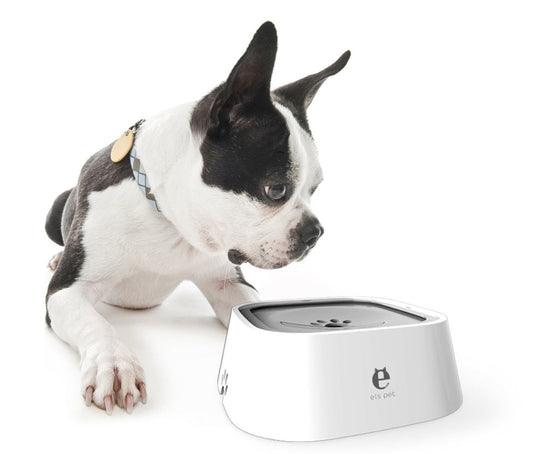 HKM-686803 Anti-Overflow Dog Bowl with Splash-proof Design and Large Capacity