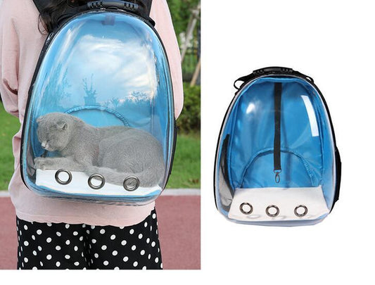 HKM-731091 Transparent Pet Backpack in Solid Colors - Medium Hardness, Plastic Material