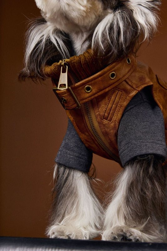 HKM-759699 Stylish Retro Sleeveless Leather Waistcoat for Small Dogs - Schnauzer Teddy Bichon Design
