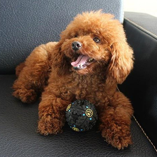 HKM-777939 Paw Prime's Tricky Treat Ball