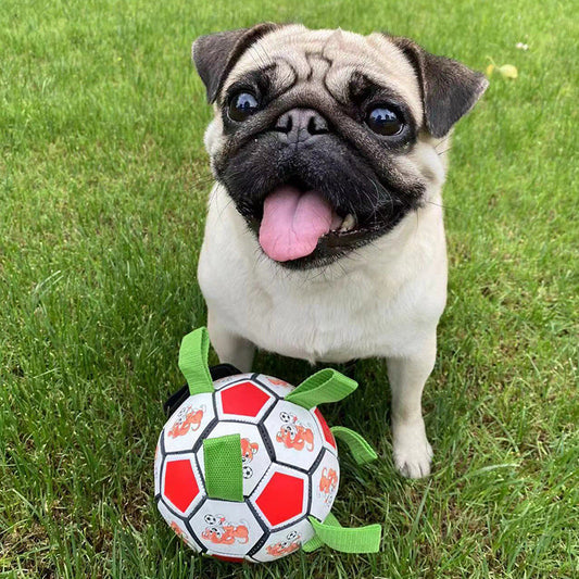 HKM-785683 Dog Football Bite-resistant Molar Bite-resistant Toy