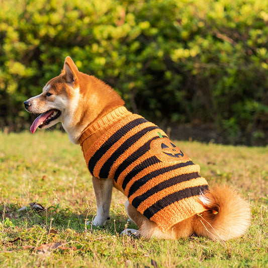 HKM-853331 Warm Halloween Dog Sweater Costume for Small Pets in Orange with Pumpkin Design