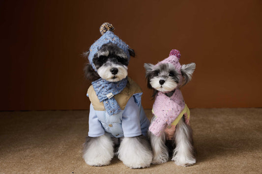HKM-863763 Autumn and Winter Down Vest for Dogs – Casual Blue and Pink Vest in Multiple Sizes