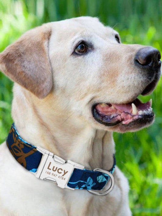 HKM-870227 Adjustable Dog Collar - Available in Small, Medium, and Large Sizes