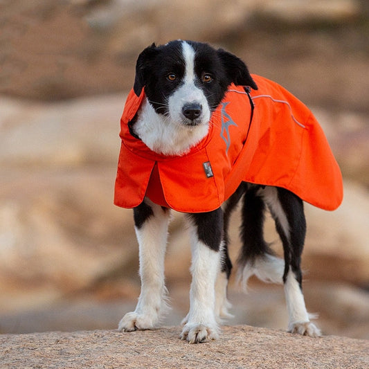 HKM-897363 Waterproof Cotton-Padded Dog Apparel for Autumn and Winter with Velvet Lining in Multiple Colors and Sizes