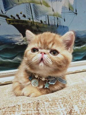 HKM-943315 Pet New Year Jewelry Collar Bell Pendant with Bowknot – Adjustable Sizes XS to M