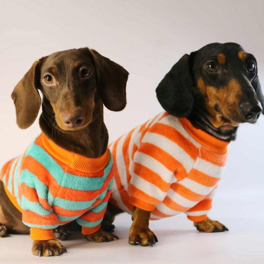 HKM-954195 Casual Round Neck Sweatshirt for Dogs and Cats - Cozy Warmth in Stripes