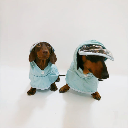 HKM-987091 Waterproof Hooded Rain Poncho for Dogs, Casual Pet Raincoat in Sky Blue, Multiple Sizes Available