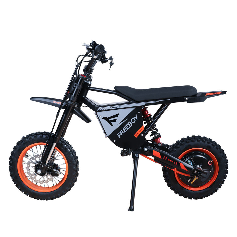 Mountain Electric Bike 3000W 48V 30Ah