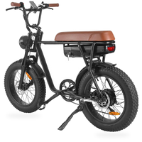 HKM-9752787 48V 750W Fat Tire Mountain Bike, 19 mph Top Speed, 20 x 4.0 in Tires, Mechanical Disc Brakes, 330 lb Load
