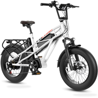HKM-0080467 48V 1200W Electric Dual-Battery All-Terrain Bike, Dual Battery System, 31 mph Top Speed, 20 x 4.0 in Fat Tires
