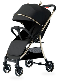 HKM-154771 Lightweight Foldable Baby Stroller with Iron Frame and Adjustable Canopy