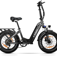 HKM-2439763 20 mph 250 W Electric Fat Tire City Bike, 48 V 13 Ah 624 Wh Battery, 7-Speed Shimano, Chaoyang 20 x 4.0 in Tires