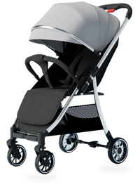 HKM-220307 Foldable Two-Way Baby Stroller with Iron Frame and Pushchair Design