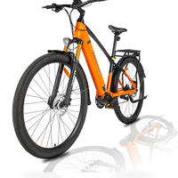 HKM-1620563 29 in Hardtail Mid-Drive Electric Mountain Bike, 250 W Mid Motor, 48 V 13 Ah Removable Battery, 25 mph Top Speed