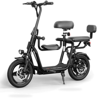 HKM-0309843 14 in Folding Electric Bike, 500 W Rear Hub Motor, 48 V 15 Ah Lithium Pack, 20 mph Top Speed, Disc Brakes