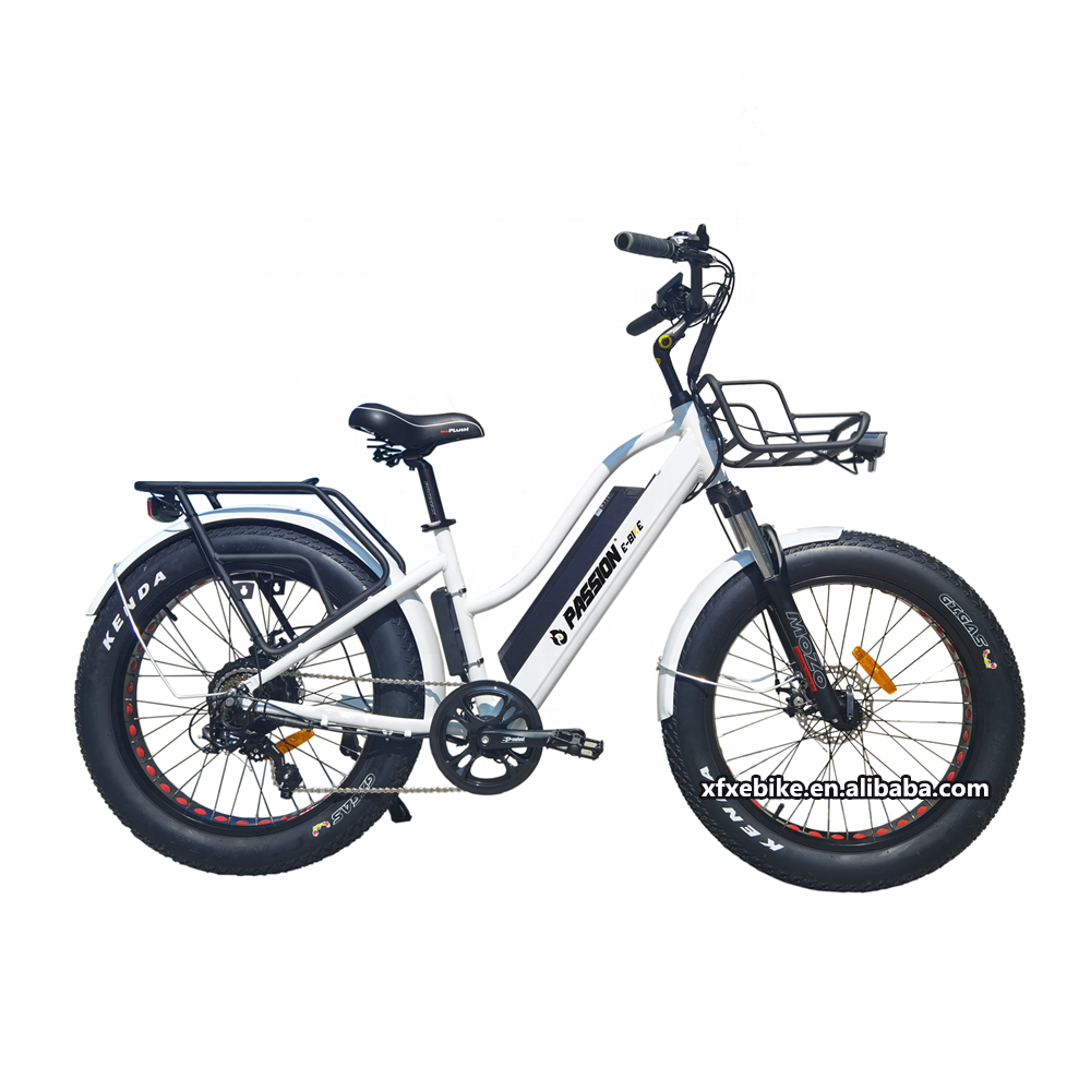 20 Inch City Electric Bike 250W 36V Steel