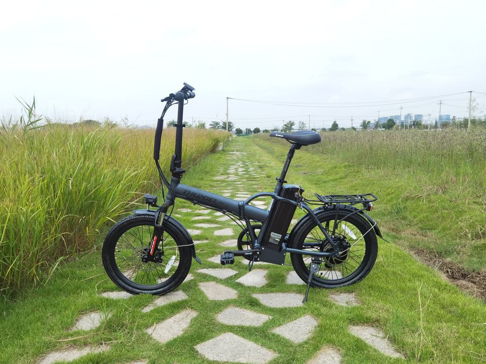 20 Inch City Electric Bike 250W 36V Steel