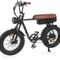 HKM-9752787 48V 750W Fat Tire Mountain Bike, 19 mph Top Speed, 20 x 4.0 in Tires, Mechanical Disc Brakes, 330 lb Load