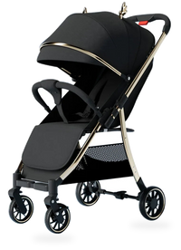 HKM-220307 Foldable Two-Way Baby Stroller with Iron Frame and Pushchair Design