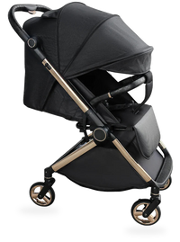 HKM-336723 Lightweight Aluminium Frame Baby Stroller, One-Hand Foldable Pushchair with Canopy